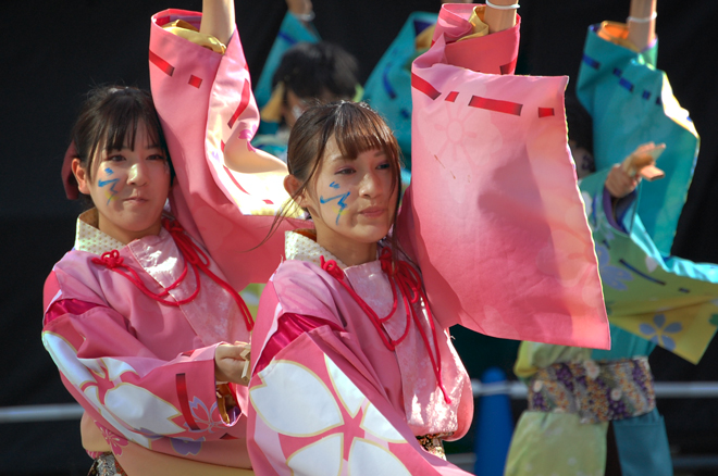 よさこい衣装・祭り衣装　　皇學館大学 ”雅”　様 