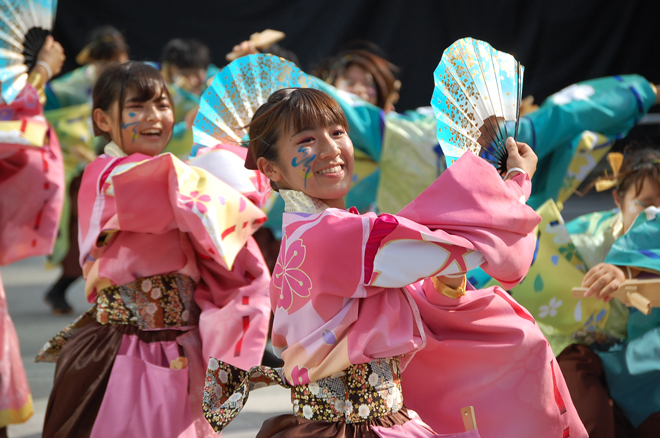 よさこい衣装・祭り衣装　　皇學館大学 ”雅”　様 