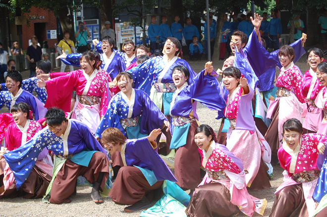 よさこい衣装・祭り衣装　　皇學館大学 ”雅”　様 