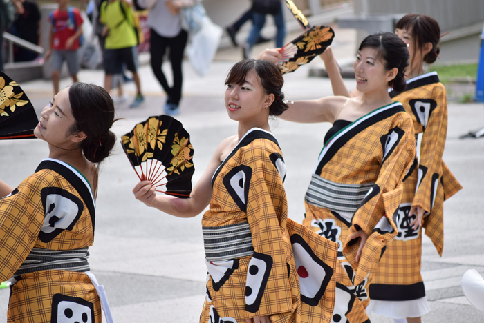 よさこい衣装・祭り衣装　　狼煙　様 