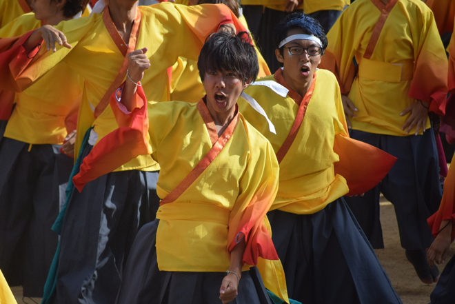 よさこい衣装・祭り衣装　　京炎そでふれ！彩京前線　様 