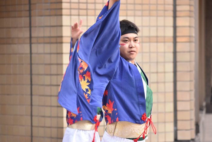 よさこい衣装・祭り衣装　　煌星様 