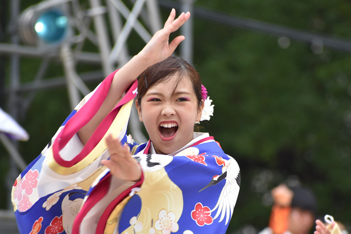 よさこい衣装・祭り衣装　　四天王寺大学YOSAKOIソーラン部仏喜踊様 