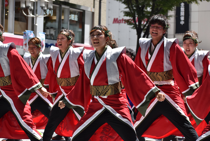 よさこい衣装・祭り衣装　　四天王寺大学YOSAKOIソーラン部仏喜踊様 