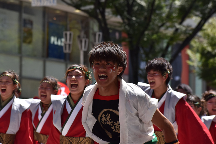 よさこい衣装・祭り衣装　　四天王寺大学YOSAKOIソーラン部仏喜踊様 