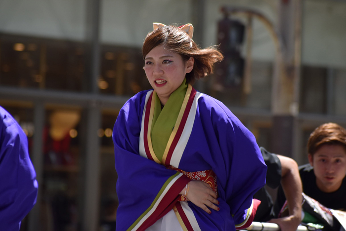 よさこい衣装・祭り衣装　　四天王寺大学YOSAKOIソーラン部仏喜踊様 