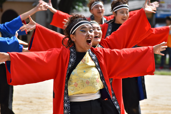 よさこい衣装・祭り衣装　　極津様 