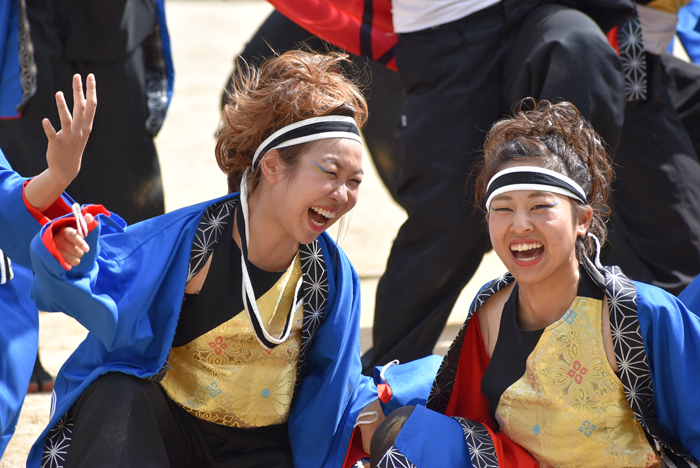 よさこい衣装・祭り衣装　　極津様 