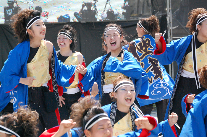 よさこい衣装・祭り衣装　　極津様 