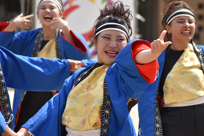 よさこい衣装・祭り衣装　　極津様 