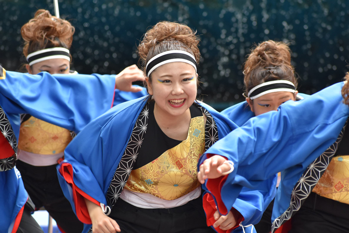 よさこい衣装・祭り衣装　　極津様 