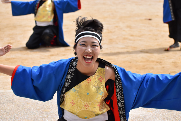 よさこい衣装・祭り衣装　　極津様 