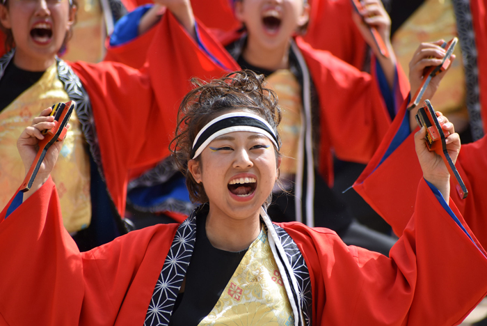 よさこい衣装・祭り衣装　　極津様 