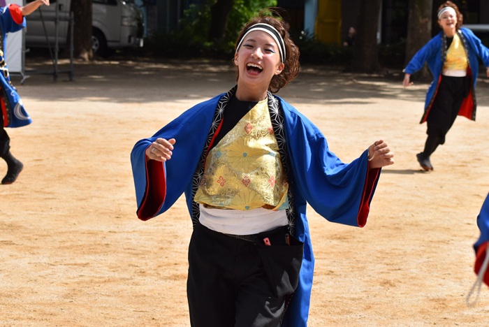 よさこい衣装・祭り衣装　　極津様 