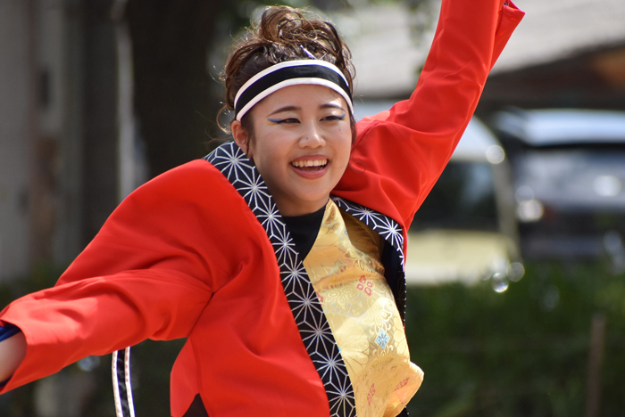 よさこい衣装・祭り衣装　　極津様 