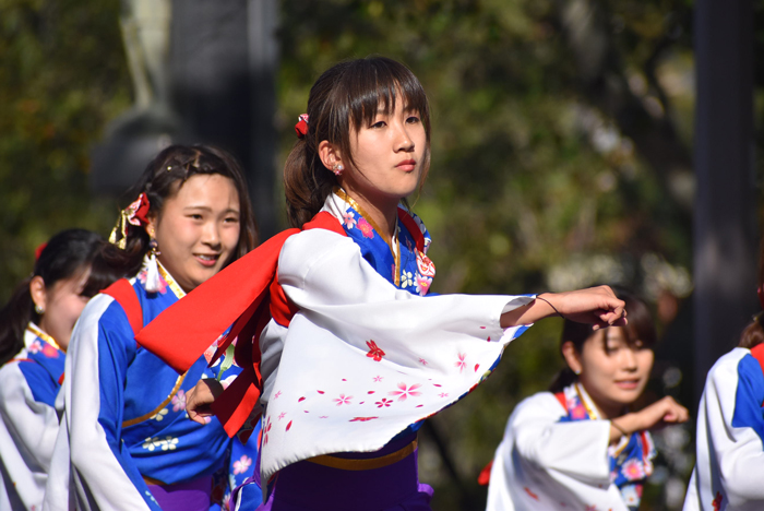 よさこい衣装・祭り衣装　　山口県立大学 よさこい部 奄美連合萩組様 