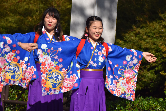 よさこい衣装・祭り衣装　　山口県立大学 よさこい部 奄美連合萩組様 