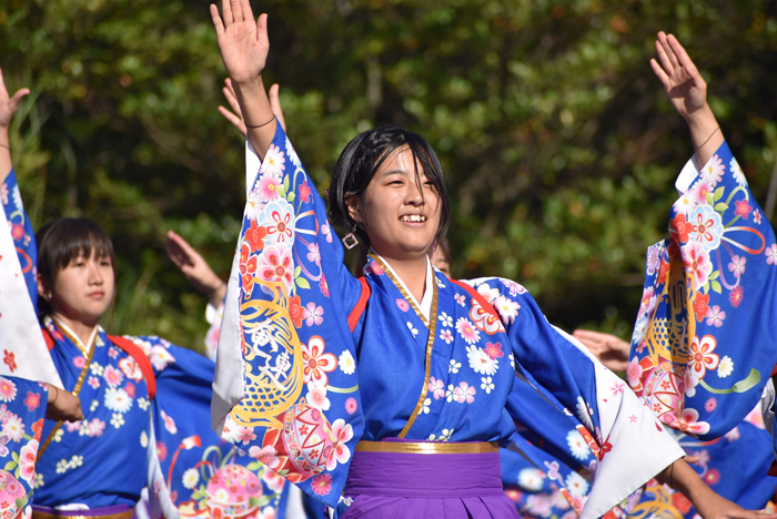 よさこい衣装・祭り衣装　　山口県立大学 よさこい部 奄美連合萩組様 