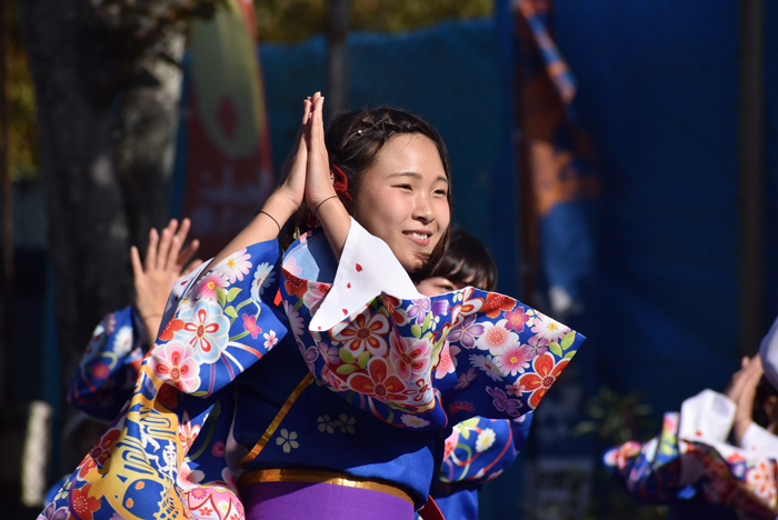 よさこい衣装・祭り衣装　　山口県立大学 よさこい部 奄美連合萩組様 