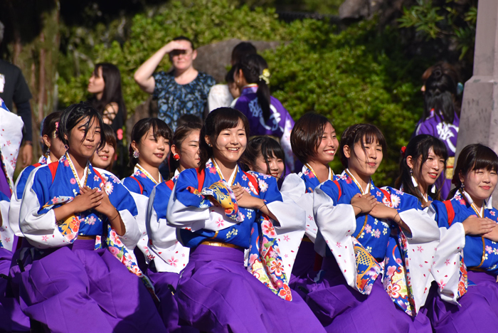 よさこい衣装・祭り衣装　　山口県立大学 よさこい部 奄美連合萩組様 