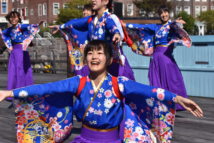 よさこい衣装・祭り衣装　　山口県立大学 よさこい部 奄美連合萩組様 