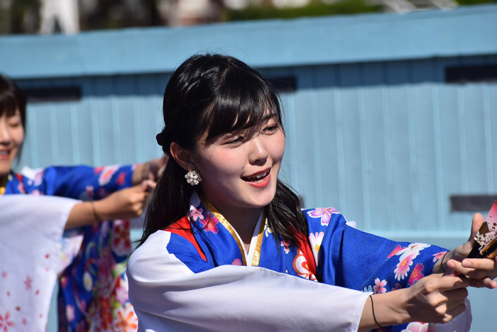 よさこい衣装・祭り衣装　　山口県立大学 よさこい部 奄美連合萩組様 