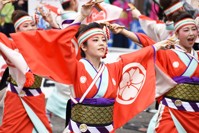 よさこい衣装・祭り衣装　　濱長花神楽様 