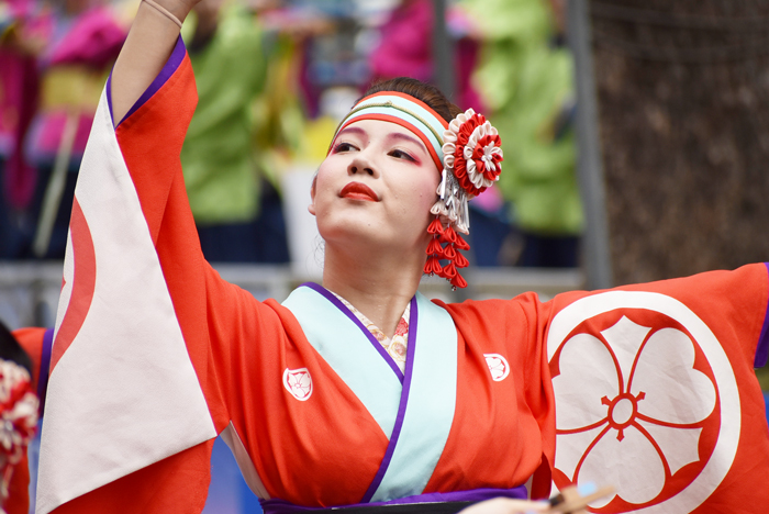 よさこい衣装・祭り衣装　　濱長花神楽様 