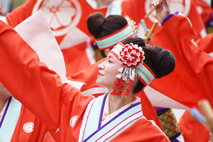 よさこい衣装・祭り衣装　　濱長花神楽様 