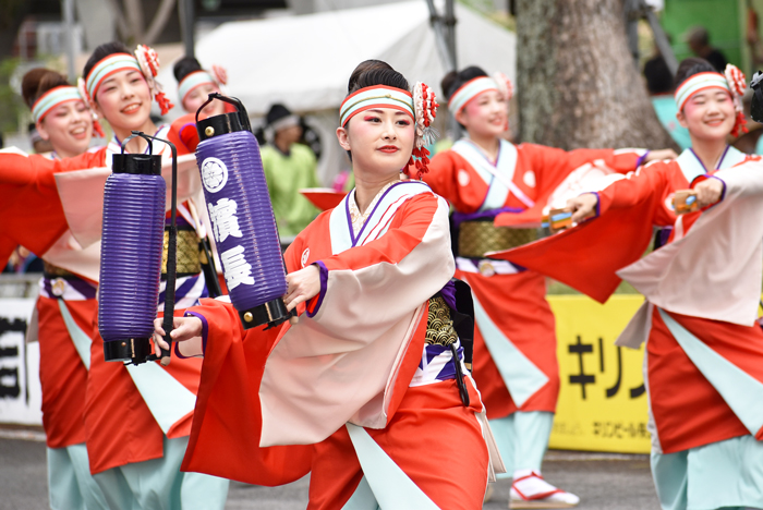 よさこい衣装・祭り衣装　　濱長花神楽様 