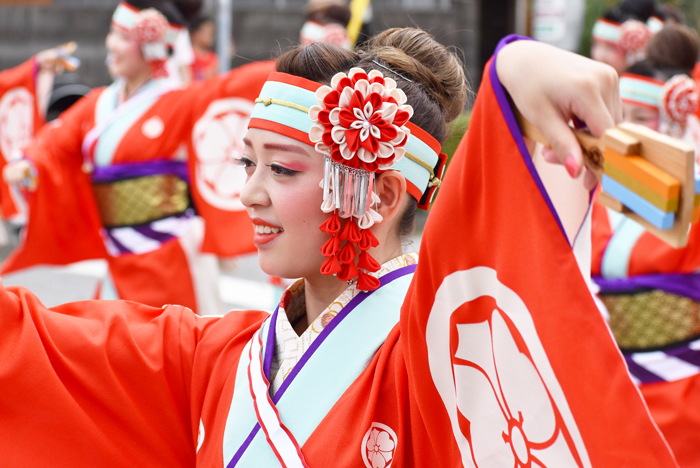 よさこい衣装・祭り衣装　　濱長花神楽様 