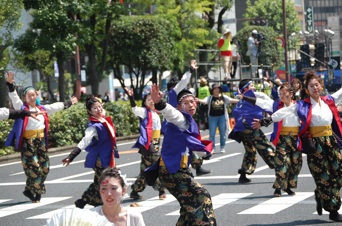 よさこい衣装・祭り衣装　　晴夏様 