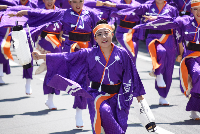 よさこい衣装・祭り衣装　　幡多舞人様 