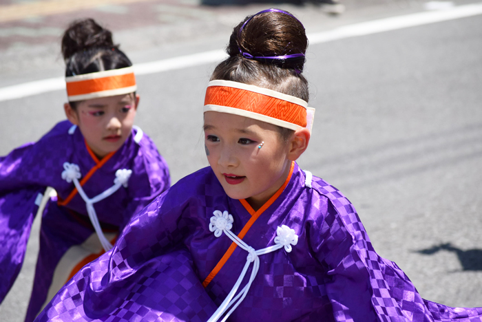 よさこい衣装・祭り衣装　　幡多舞人様 