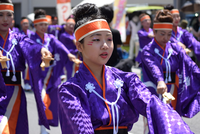 よさこい衣装・祭り衣装　　幡多舞人様 