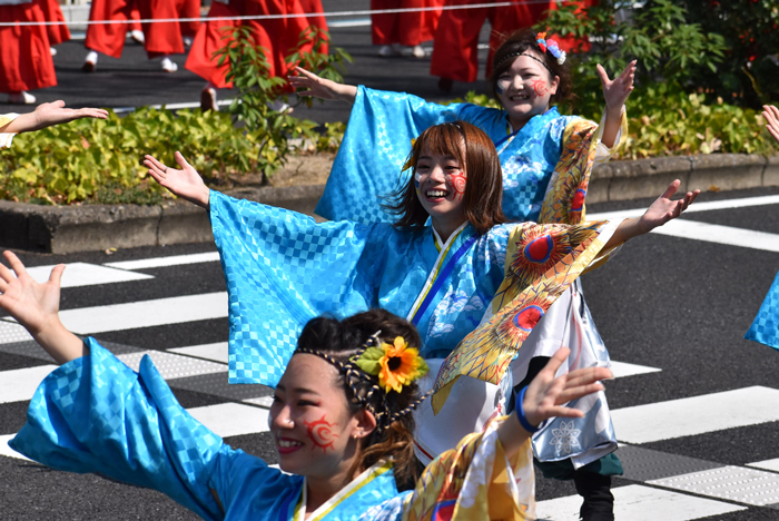 よさこい衣装・祭り衣装　　陽舞笑様 