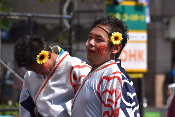 よさこい衣装・祭り衣装　　陽舞笑様 