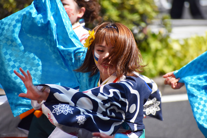 よさこい衣装・祭り衣装　　陽舞笑様 