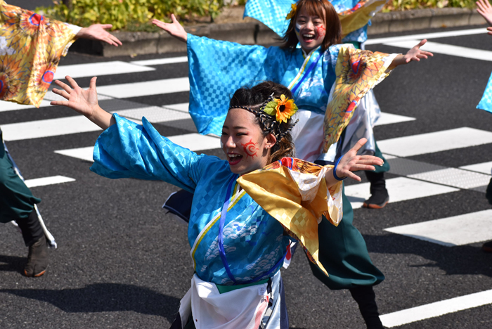 よさこい衣装・祭り衣装　　陽舞笑様 