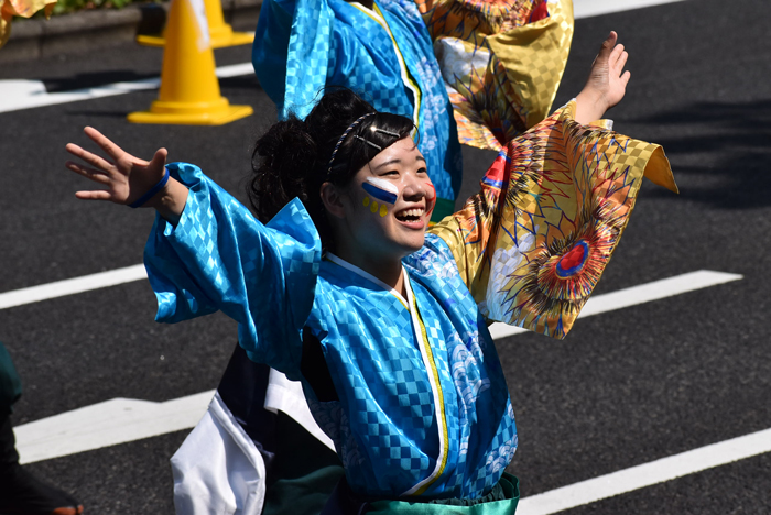 よさこい衣装・祭り衣装　　陽舞笑様 