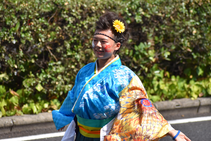 よさこい衣装・祭り衣装　　陽舞笑様 