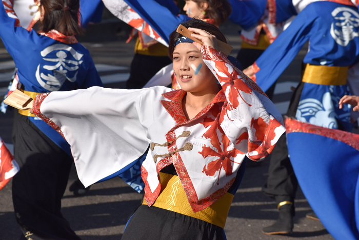 よさこい衣装・祭り衣装　　熊本県立大学一大事様 