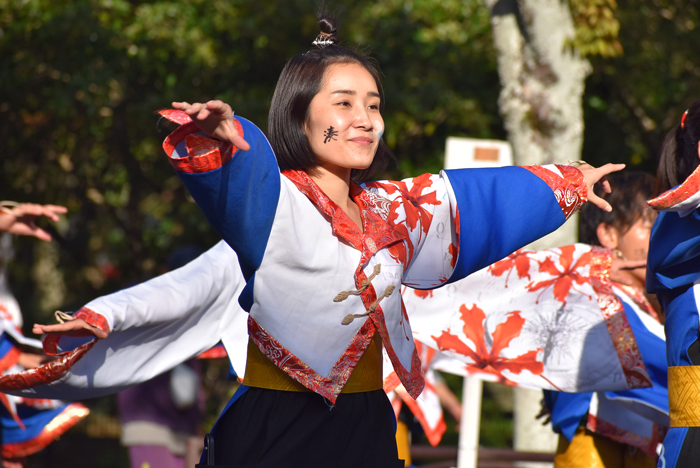 よさこい衣装・祭り衣装　　熊本県立大学一大事様 