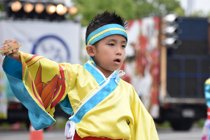 よさこい衣装・祭り衣装　　よさこい縁連～彩翔～様 