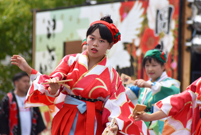 よさこい衣装・祭り衣装　　地音舎様 