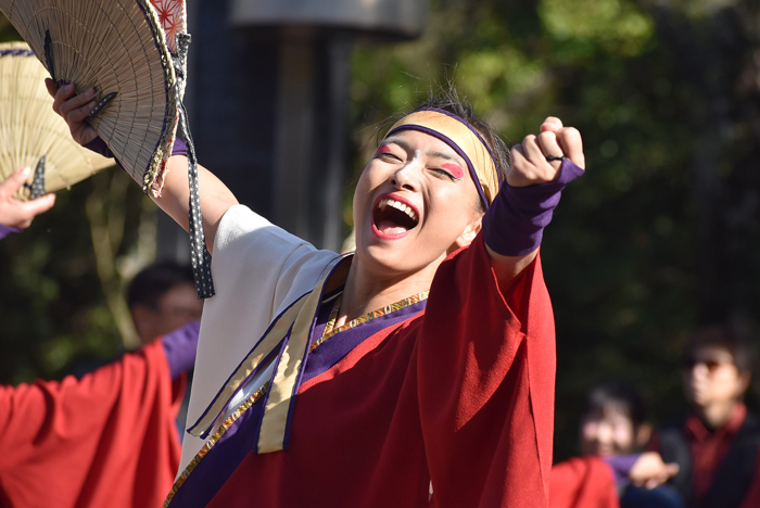 よさこい衣装・祭り衣装　　煌星様 