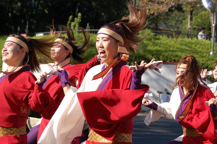 よさこい衣装・祭り衣装　　煌星様 