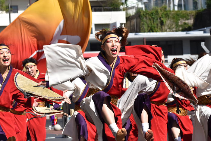 よさこい衣装・祭り衣装　　煌星様 