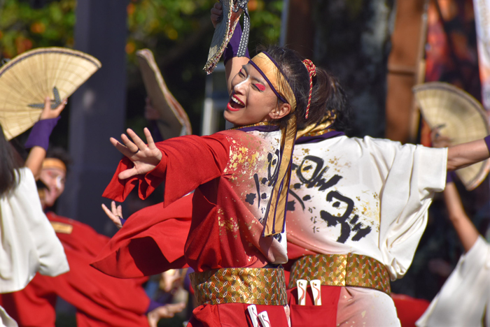 よさこい衣装・祭り衣装　　煌星様 