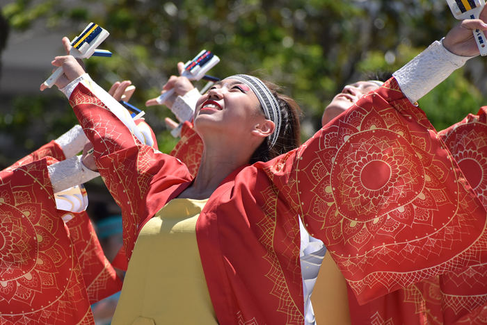 よさこい衣装・祭り衣装　　筑前かすや一番隊様 